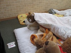 s2014.4.17 3.jpg